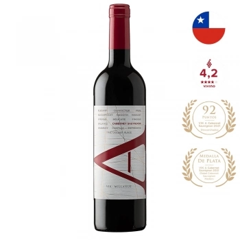 xx_vinho-tinto-vik-a-cabernet-sau-8fb0683c8fec0bb5d5da7a2a216e5d80-624-0.webp