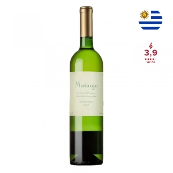 xx_vinho-branco-albarino-fresco-m-ac29409e7e64281519df7e896ecf6a7d-687-0.webp